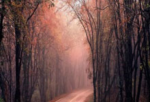 南宫28体育：[图]多特新援萨比策亮相 将披“大黄蜂”20号战袍.