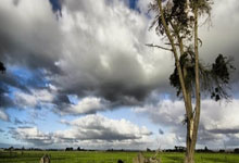 国足主场vs澳大利亚上座人数将达到7万 刷新中国足坛历史上座纪录.