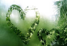 国足生死大战将迎来最强阵容：五大绝对主力复出，扶正塞尔吉尼奥.