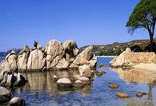 美少女拉杜卡努止步迈阿密八强，她已经走出跟踪狂和伤病带来的阴影？.